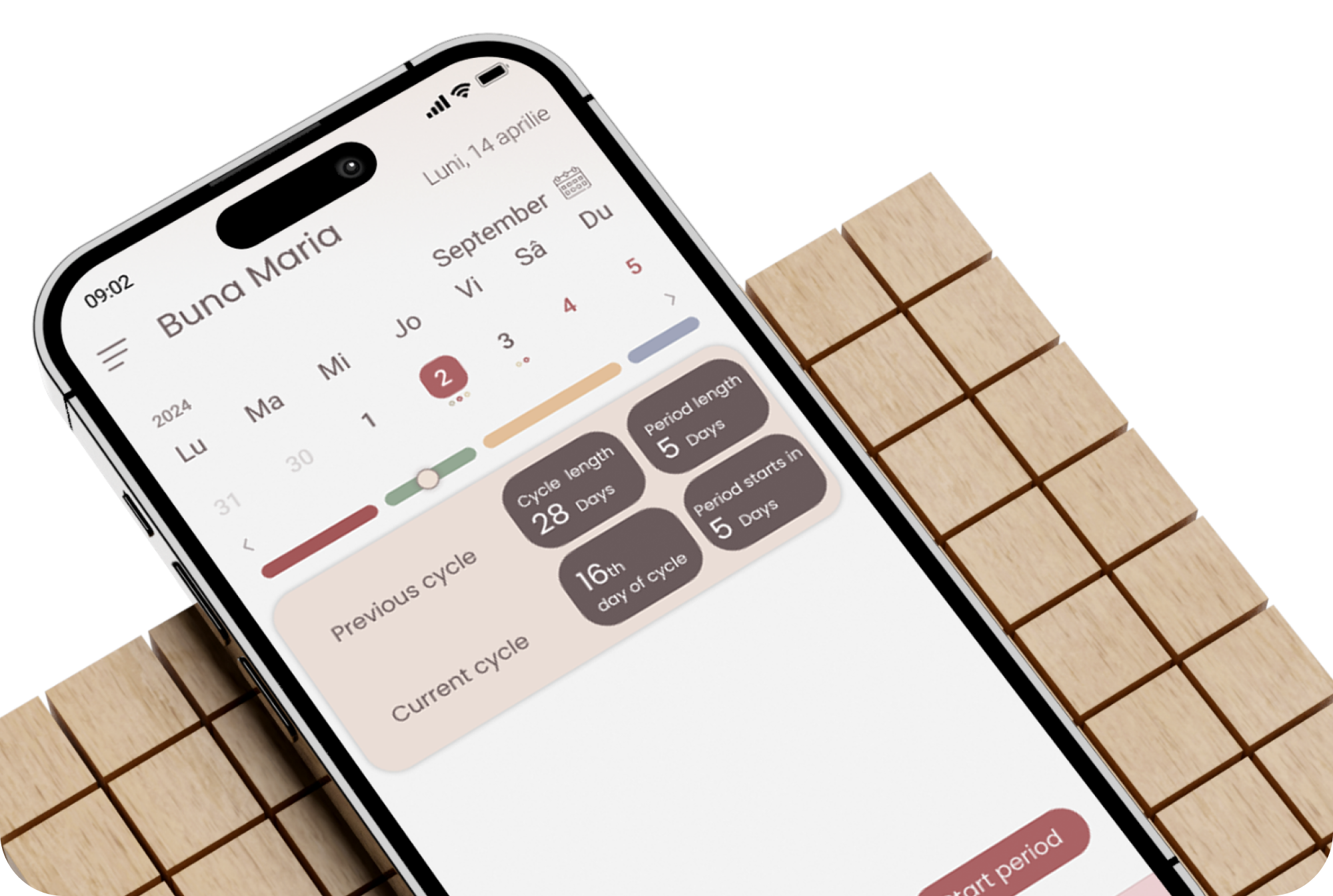 Health & Fitness Industry — developed features